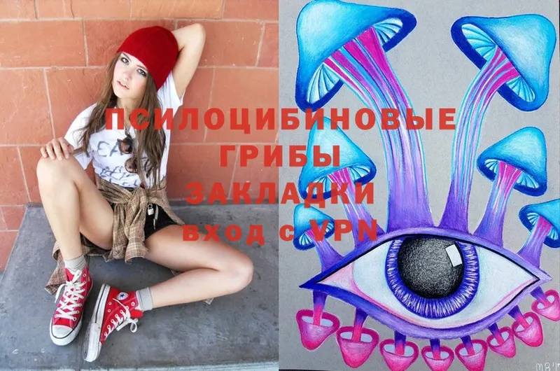 где найти   Кедровый  shop официальный сайт  Галлюциногенные грибы Magic Shrooms 